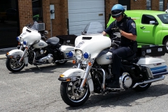 Arlington PoPo